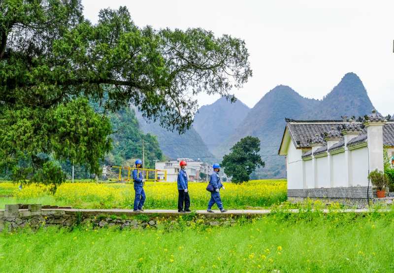 平塘供電局：“網(wǎng)格化”服務，護航“菜籃子”