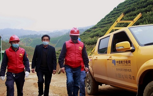 平塘供電局：“加減法”同構服務，護航“貴州春茶第一壺”
