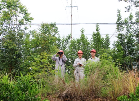 國網江永縣供電公司:負責人帶隊巡線，精施策護網保電