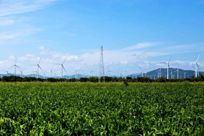 收購(gòu)墨西哥818MW光伏電站，國(guó)家電投境外光伏電站裝機(jī)超6GW