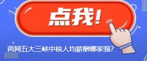 國網南網華能大唐國家能源三峽中核人均薪酬哪家強？