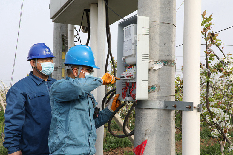 國網(wǎng)諸城市供電公司電力足，千畝梨園花正濃