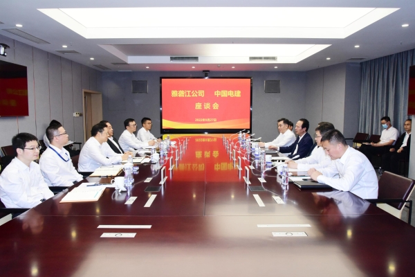 丁焰章與雅礱江公司黨委書記、董事長祁寧春座談
