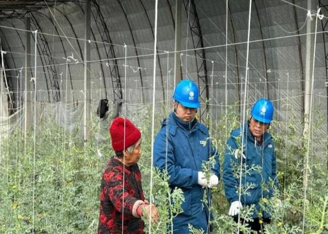 山東惠民供電公司：走訪種植大棚，優(yōu)化農(nóng)業(yè)營(yíng)商環(huán)境