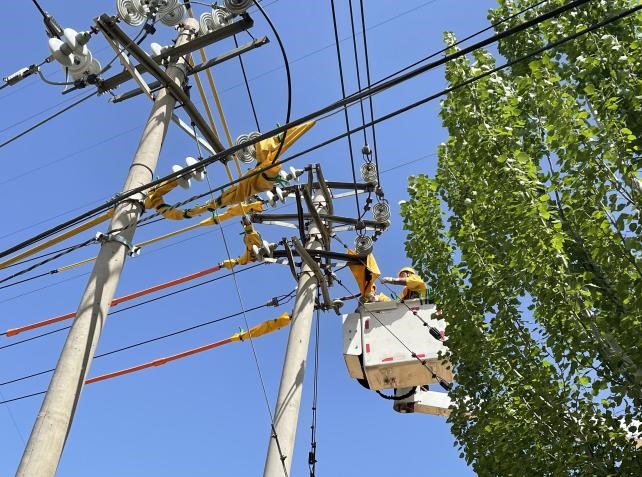 帶電作業(yè)除隱患，安全供電有保障