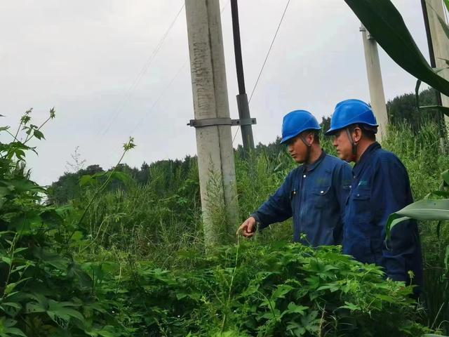 國網(wǎng)長春供電公司積極應(yīng)對極端天氣，確保線路設(shè)備穩(wěn)定運行