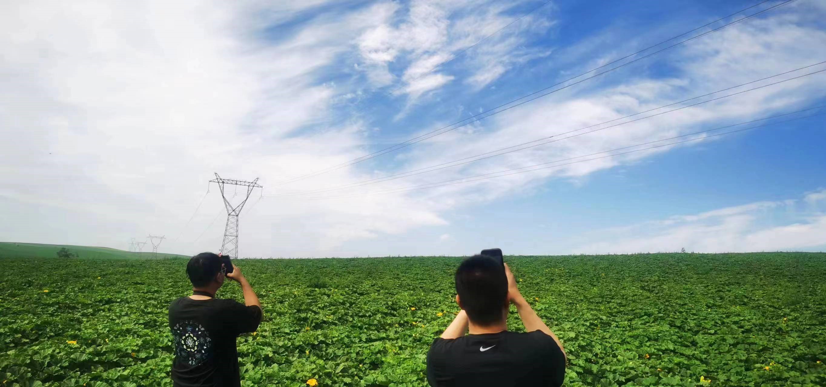 四子王輸變電管理處：防外力破壞，助安全運行