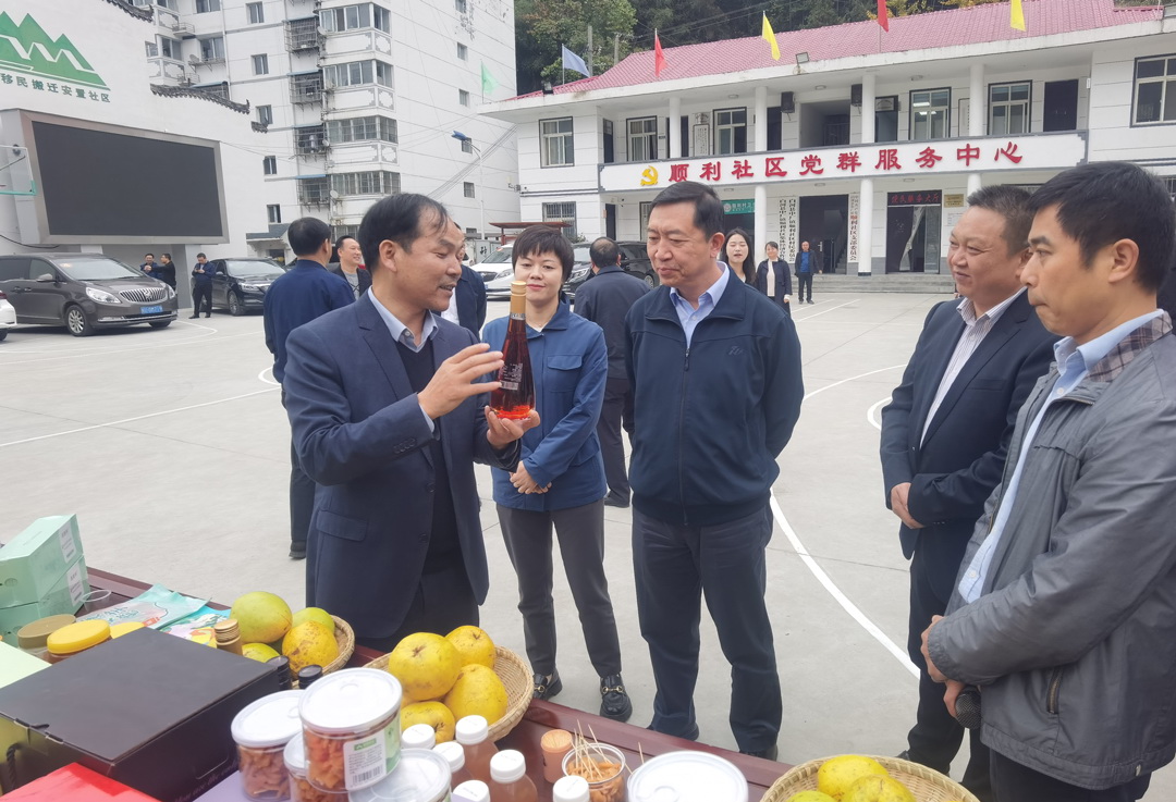 中核集團(tuán)總經(jīng)理、黨組副書記顧軍赴陜西白河、旬陽(yáng)調(diào)研鄉(xiāng)村振興工作