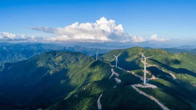 中國風(fēng)電企業(yè)出海，如何走得更遠?