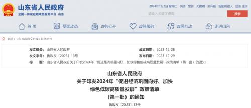 山東: 海上光伏2025年底前并網,免于配儲、有初投資補貼!