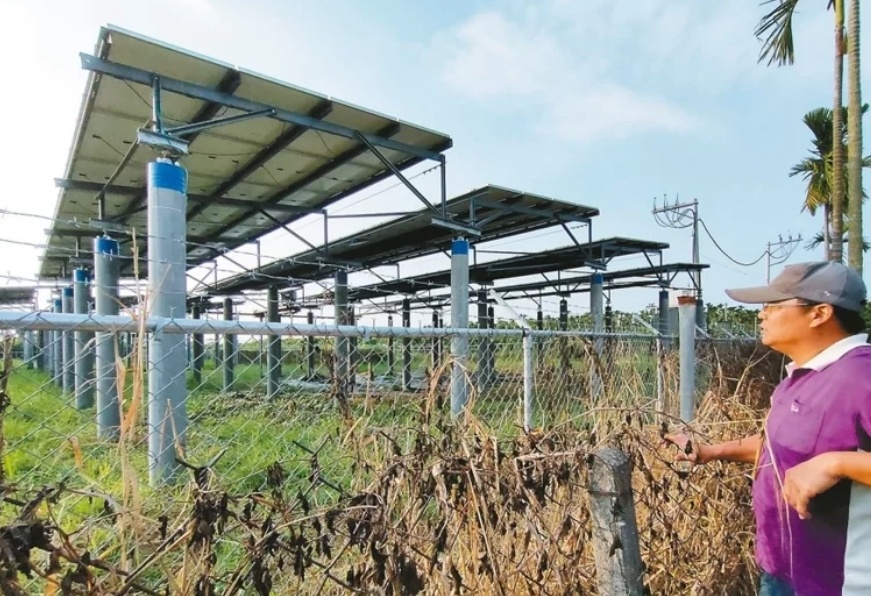 臺媒：農(nóng)田“種電”讓農(nóng)民苦不堪言，島內(nèi)面臨農(nóng)電兩失困境