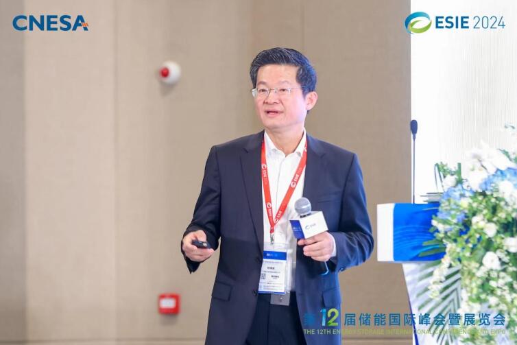 林澤波：儲能企業(yè)出海不是價格競爭，而是以定制優(yōu)質(zhì)產(chǎn)品和服務(wù)實(shí)現(xiàn)可持續(xù)發(fā)展