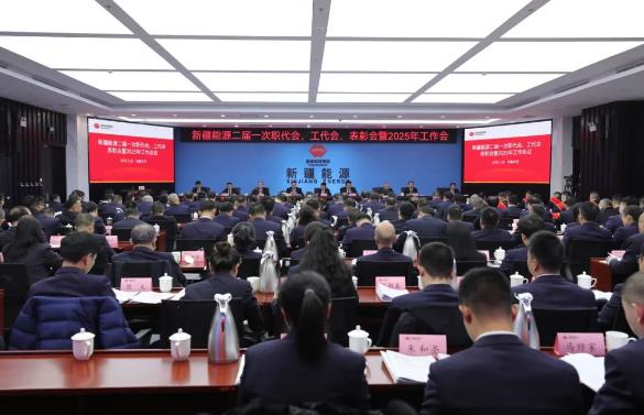國能新疆能源召開二屆一次職代會、工代會、表彰會暨2025年工作會