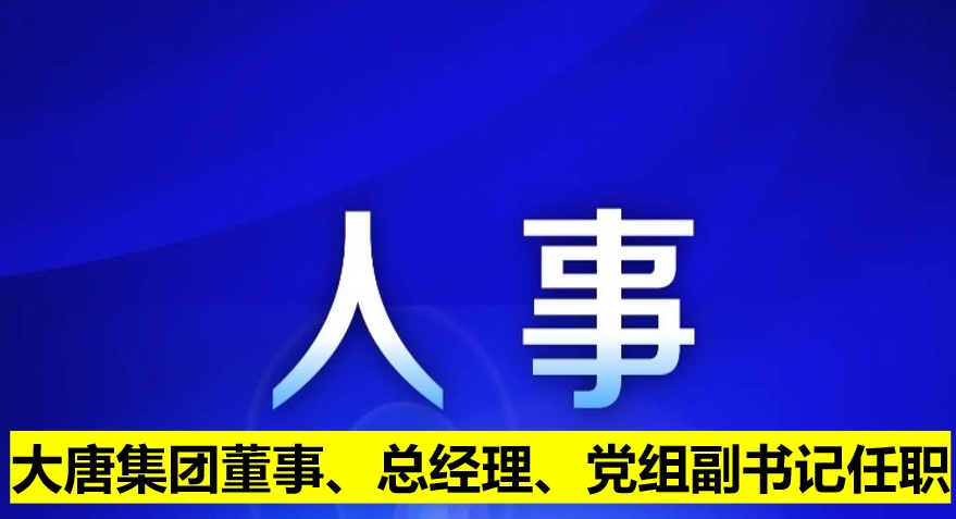 大唐集團(tuán)董事、總經(jīng)理、黨組副書記任職